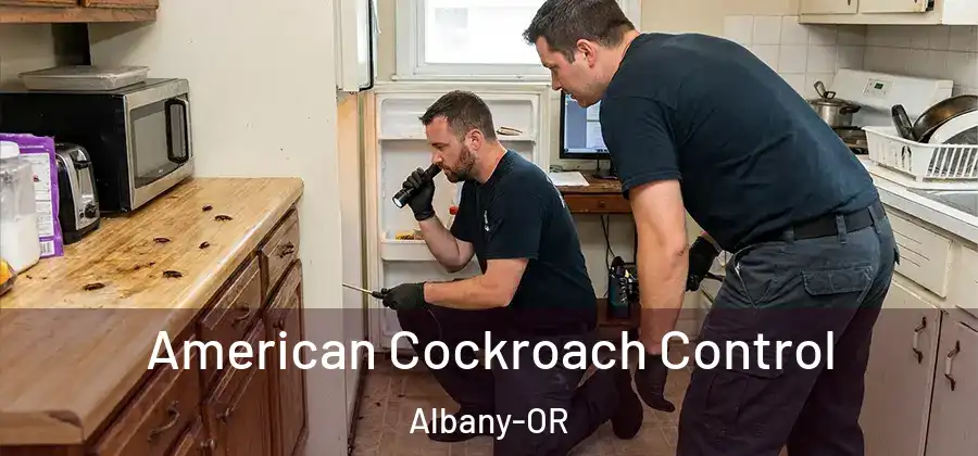 American Cockroach Control Albany-OR