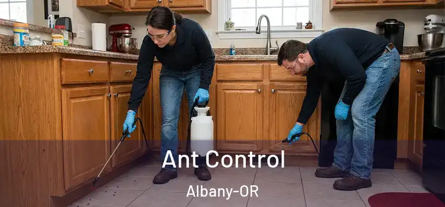  Ant Control Albany-OR