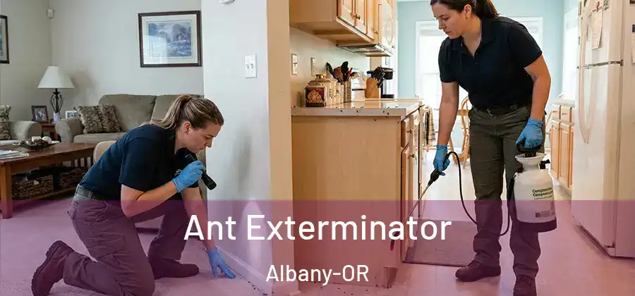  Ant Exterminator Albany-OR