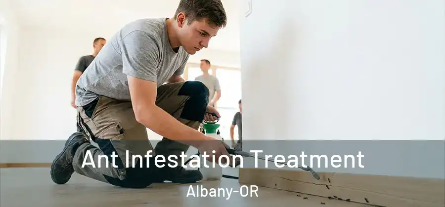  Ant Infestation Treatment Albany-OR