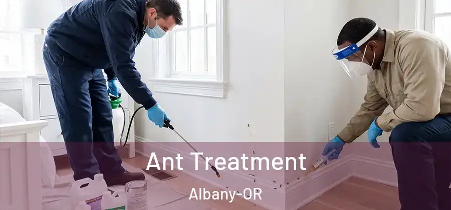  Ant Treatment Albany-OR