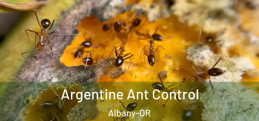  Argentine Ant Control Albany-OR