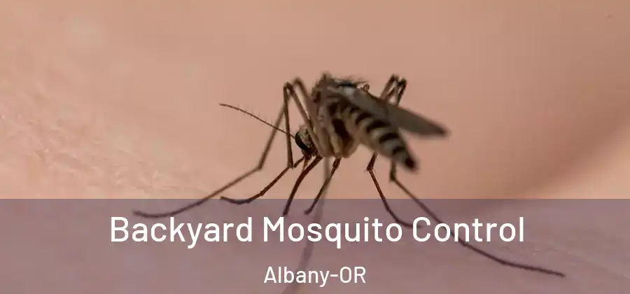  Backyard Mosquito Control Albany-OR