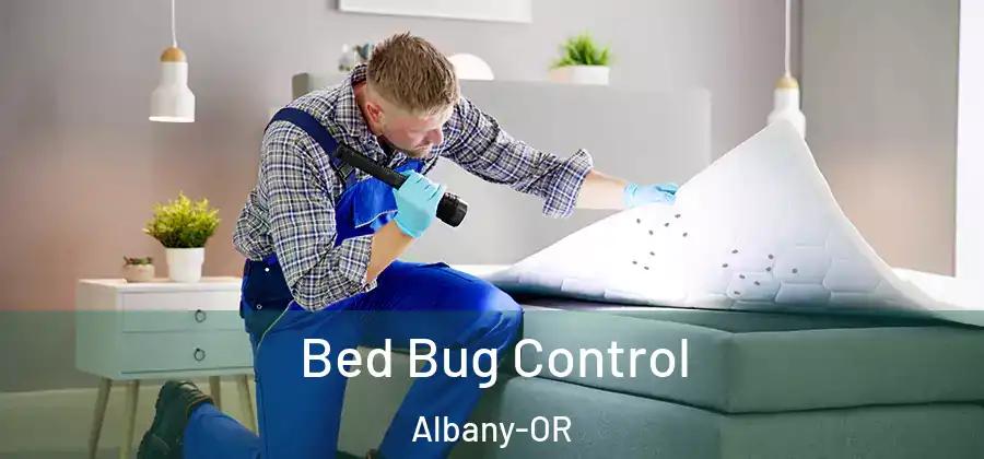  Bed Bug Control Albany-OR