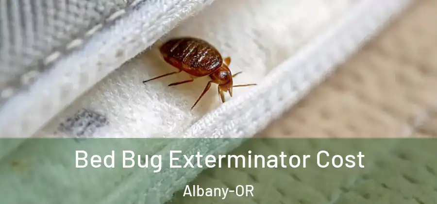  Bed Bug Exterminator Cost Albany-OR