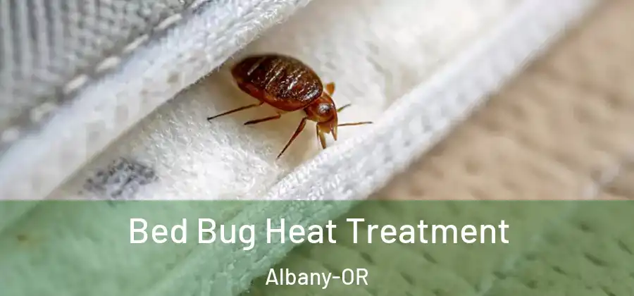  Bed Bug Heat Treatment Albany-OR