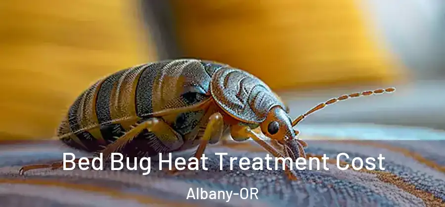  Bed Bug Heat Treatment Cost Albany-OR