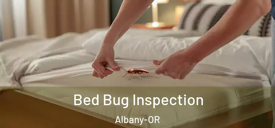  Bed Bug Inspection Albany-OR