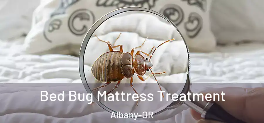  Bed Bug Mattress Treatment Albany-OR