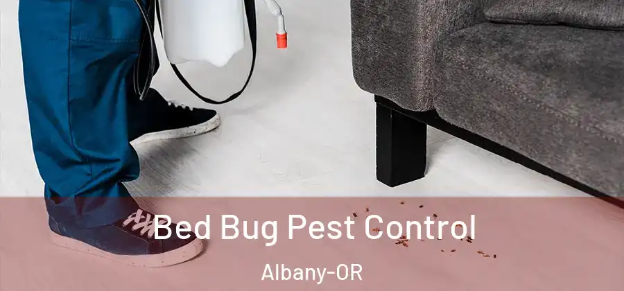  Bed Bug Pest Control Albany-OR