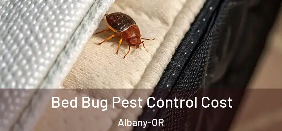  Bed Bug Pest Control Cost Albany-OR