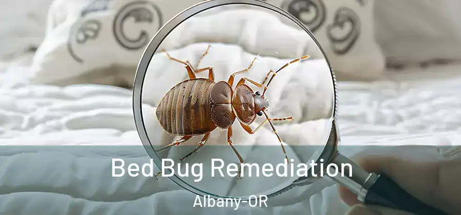 Bed Bug Remediation Albany-OR