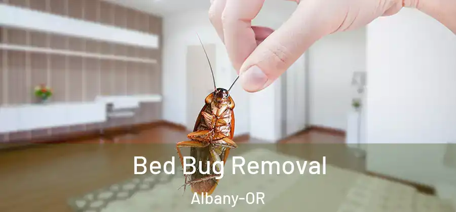  Bed Bug Removal Albany-OR