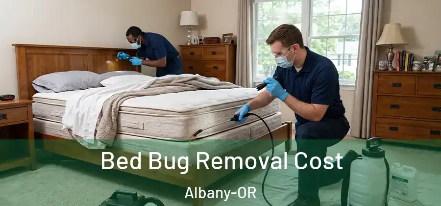  Bed Bug Removal Cost Albany-OR