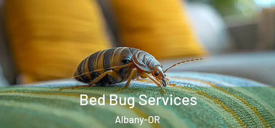  Bed Bug Services Albany-OR