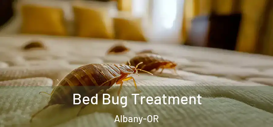  Bed Bug Treatment Albany-OR