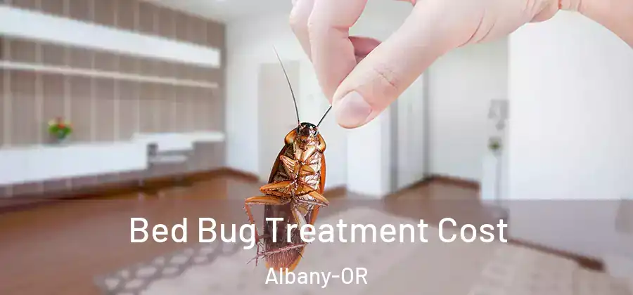  Bed Bug Treatment Cost Albany-OR