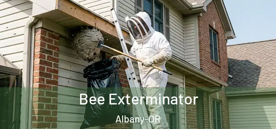  Bee Exterminator Albany-OR