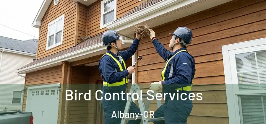  Bird Control Services Albany-OR