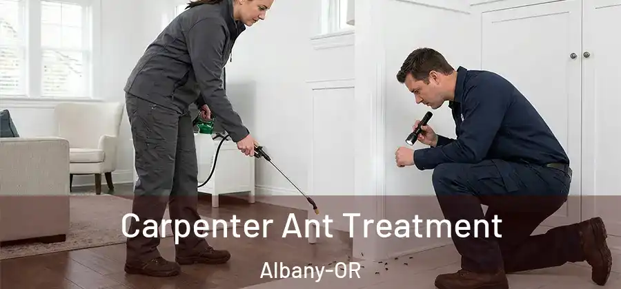  Carpenter Ant Treatment Albany-OR