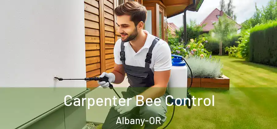  Carpenter Bee Control Albany-OR