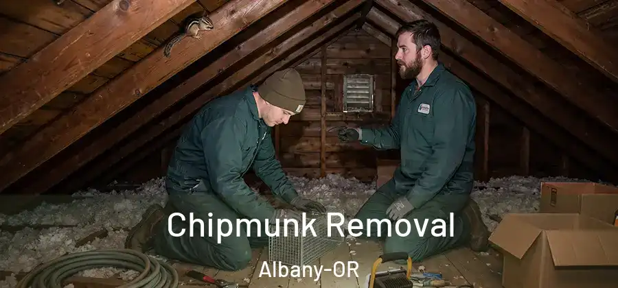  Chipmunk Removal Albany-OR