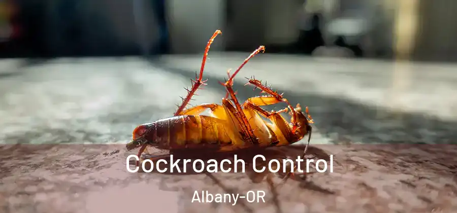  Cockroach Control Albany-OR