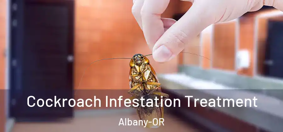  Cockroach Infestation Treatment Albany-OR
