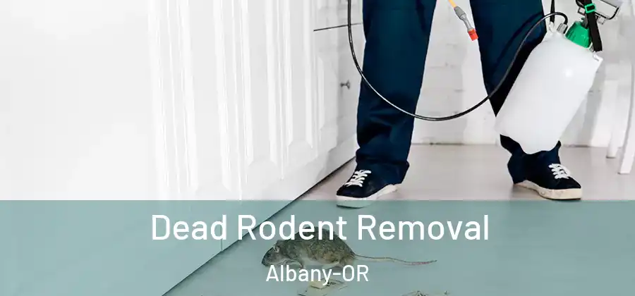  Dead Rodent Removal Albany-OR