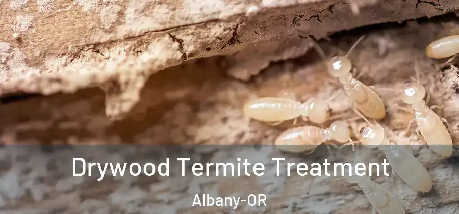 Drywood Termite Treatment Albany-OR