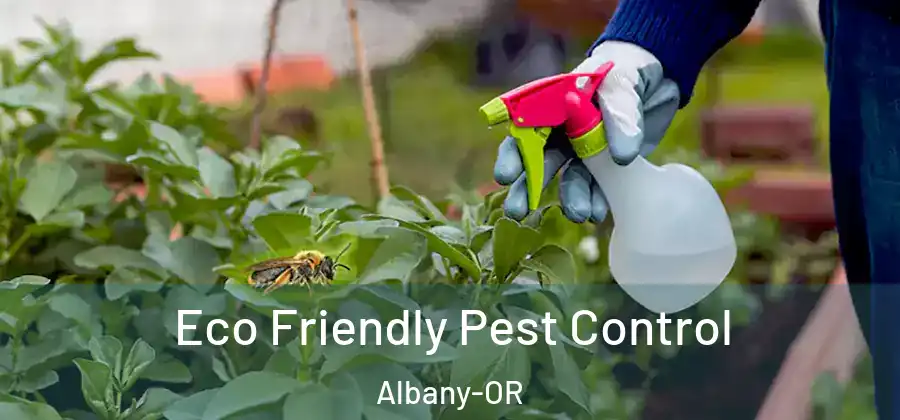  Eco Friendly Pest Control Albany-OR