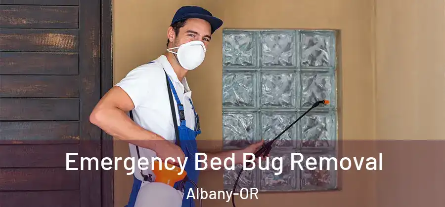  Emergency Bed Bug Removal Albany-OR