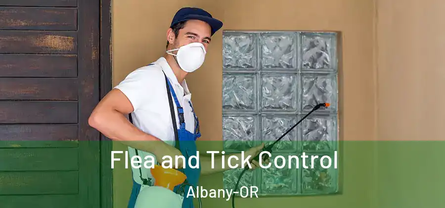 Flea and Tick Control Albany-OR