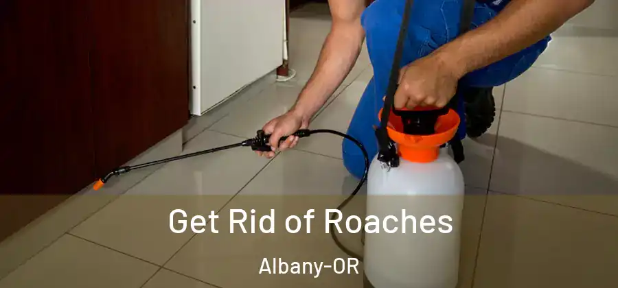 Get Rid of Roaches Albany-OR