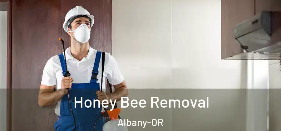  Honey Bee Removal Albany-OR