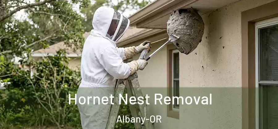  Hornet Nest Removal Albany-OR