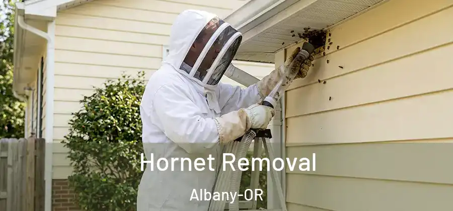 Hornet Removal Albany-OR