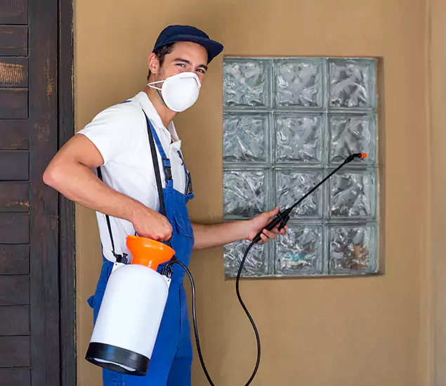 About Heat Treatment for Termites Experts in Albany, OR