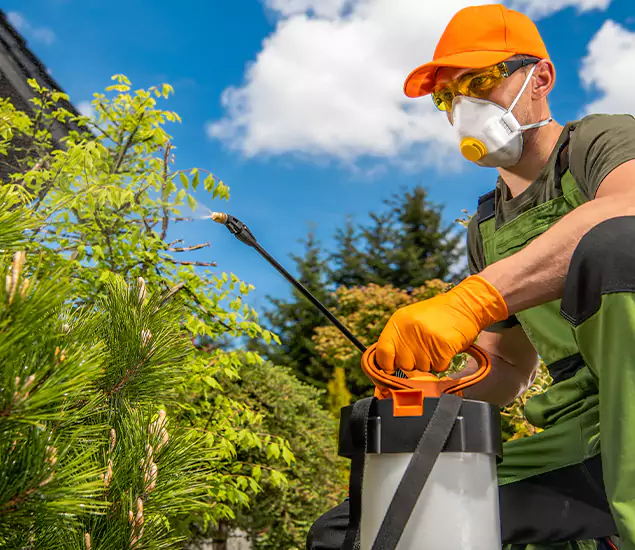 Your Mosquito Repellent Barrier Service in Albany, OR