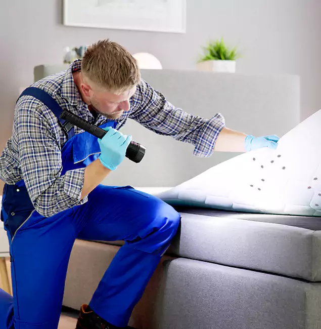 Why Choose Fair Pest Control Albany For Bed Bug Heat Treatment in Albany, OR?