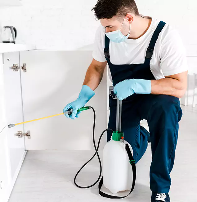 Why Albany, OR Homeowners Trust Us for German Roach Control?