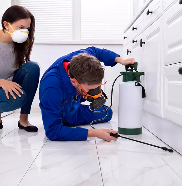 Why Albany, OR Homeowners Trust Fair Pest Control Albany for Roach Control?