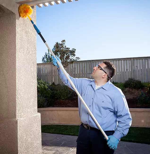 Why Choose Fair Pest Control Albany for Pest Control Services in Albany, OR?