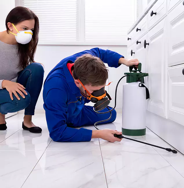 Why Choose Fair Pest Control Albany for Termite Inspection Cost in Albany, OR?
