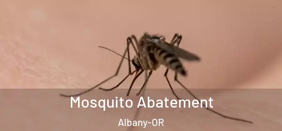  Mosquito Abatement Albany-OR