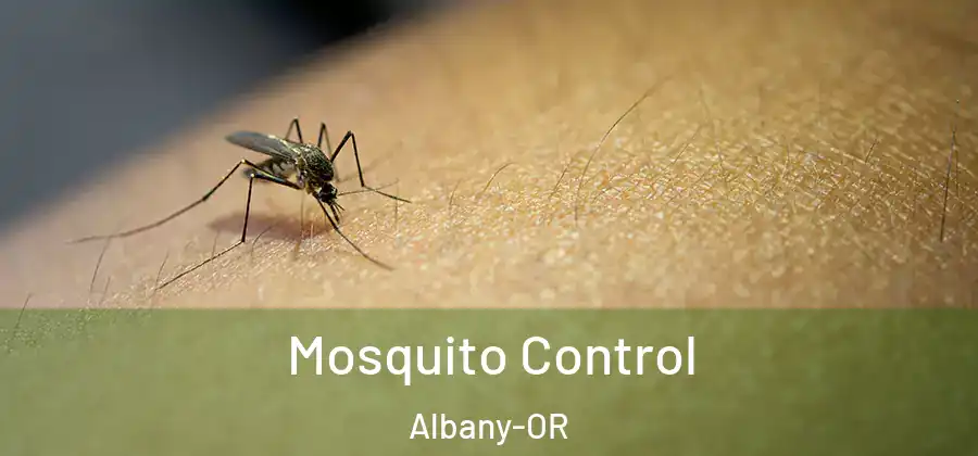  Mosquito Control Albany-OR