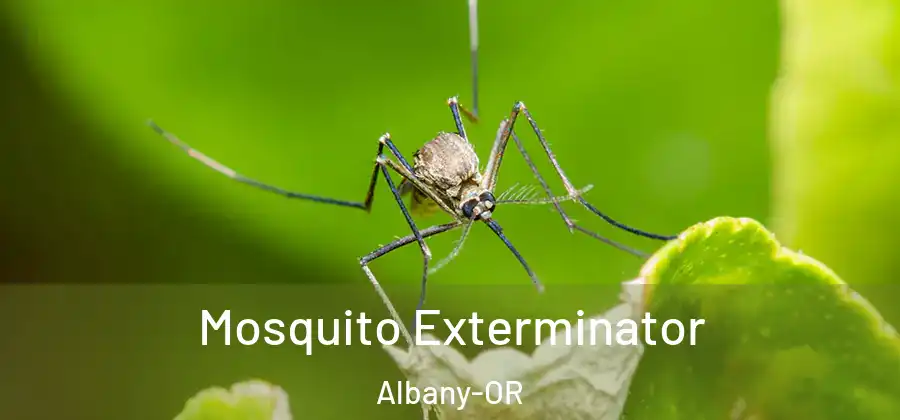  Mosquito Exterminator Albany-OR