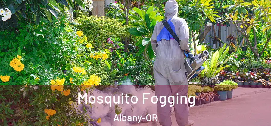  Mosquito Fogging Albany-OR