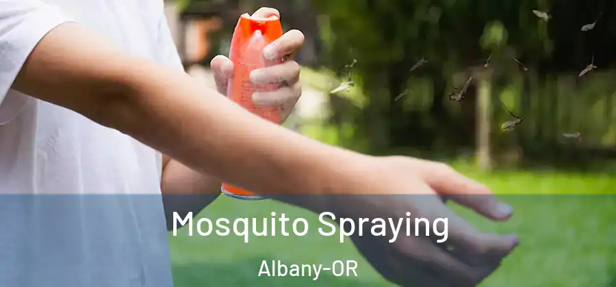  Mosquito Spraying Albany-OR