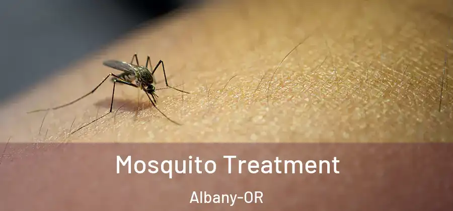  Mosquito Treatment Albany-OR